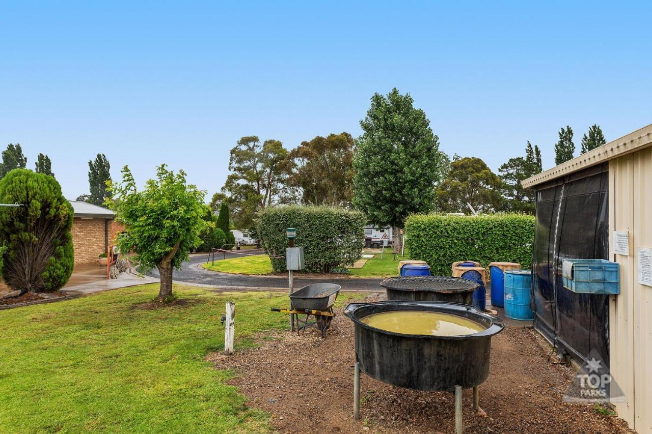 Fossicker Caravan Park Glen Innes Εξωτερικό φωτογραφία